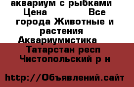 аквариум с рыбками › Цена ­ 15 000 - Все города Животные и растения » Аквариумистика   . Татарстан респ.,Чистопольский р-н
